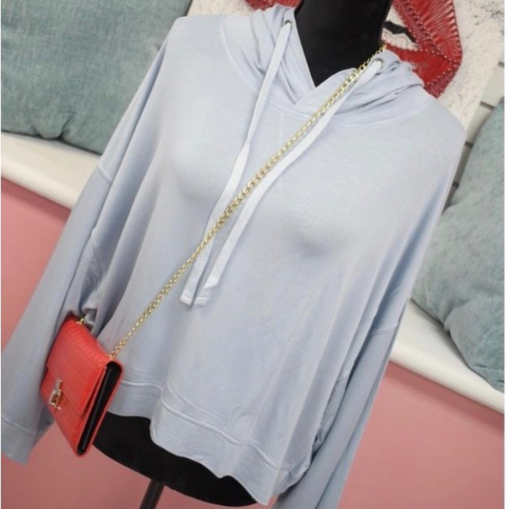 🌟HP🌟Baby blue crop